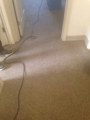 Before & After Carpet Cleaning in Camden, NJ (2)