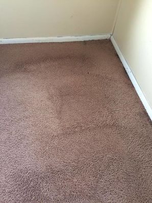 Carpet Cleaning in Kennett Square, PA (1)